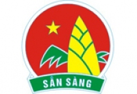 Hướng dẫn nghi thức đội