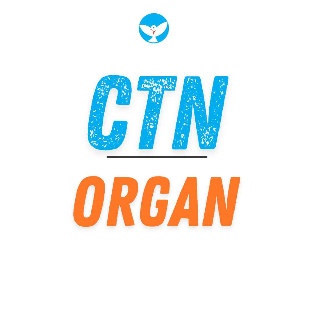 Bộ môn Organ